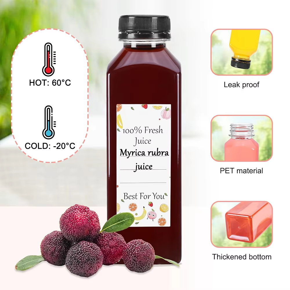 500ML Juice Bottles with Caps  – обзор и цена Water Bottle Blank