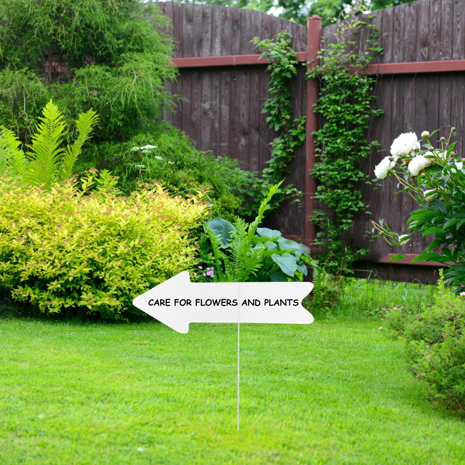 5Pcs Blank Yard Signs with Sta – обзор и цена Yard Sign Blank